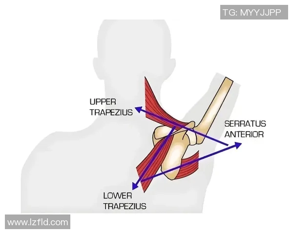 哑铃卧推时肩膀发出弹响的原因及解决方法解析