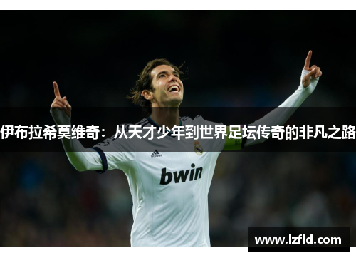 伊布拉希莫维奇：从天才少年到世界足坛传奇的非凡之路