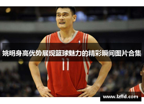 姚明身高优势展现篮球魅力的精彩瞬间图片合集